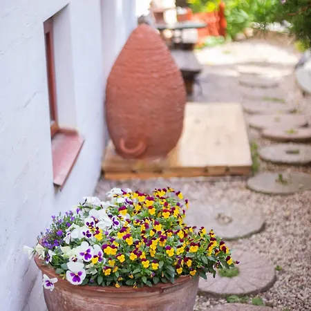 House Of Sun Bed & Breakfast Vilnius