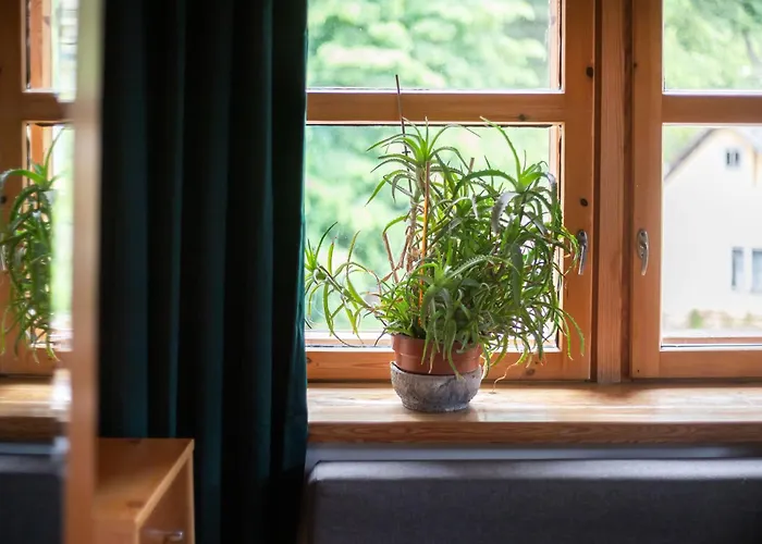 Nakvynė ir pusryčiai House Of Sun Vilnius