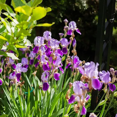 House Of Sun 维尔纽斯