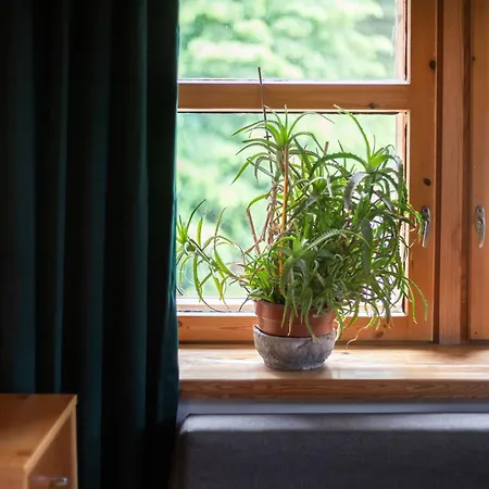 住宿加早餐酒店 House Of Sun 维尔纽斯